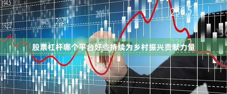 股票杠杆哪个平台好些持续为乡村振兴贡献力量