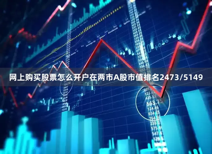 网上购买股票怎么开户在两市A股市值排名2473/5149