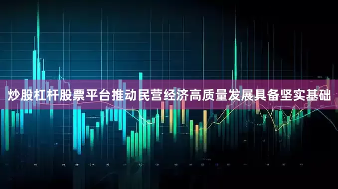 炒股杠杆股票平台推动民营经济高质量发展具备坚实基础
